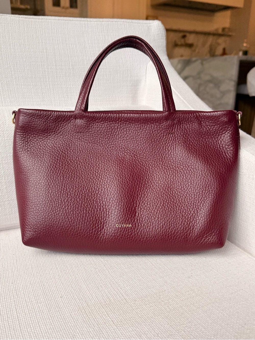 Cuyana Mini Easy Zipper Tote Bag in Cherry - Picture 3 of 6